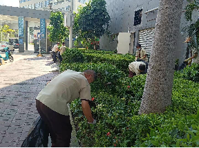 公園保潔工作流程及標準有哪幾個方面?
